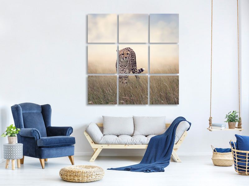 9-piece-canvas-print-the-cheetah