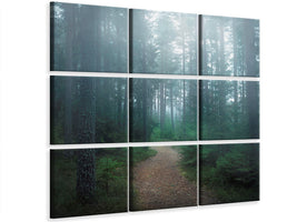 9-piece-canvas-print-the-forest-of-secrets
