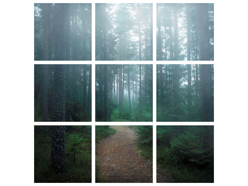 9-piece-canvas-print-the-forest-of-secrets