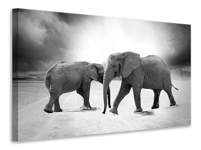 canvas-print-2-elephants-sw