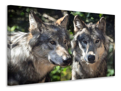 canvas-print-2-wolves