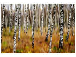 canvas-print-3d-birches-x