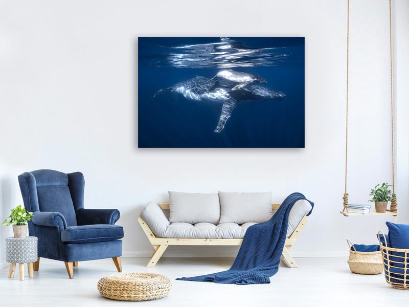 canvas-print-a-humpback-whale-and-its-calf-x