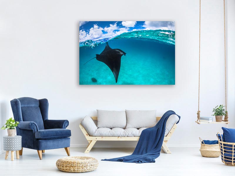 canvas-print-a-reef-manta-ray-in-mayotte-x