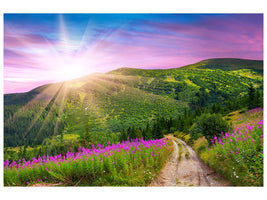 canvas-print-a-summer-landscape-at-sunrise