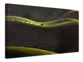 canvas-print-aaearea-x