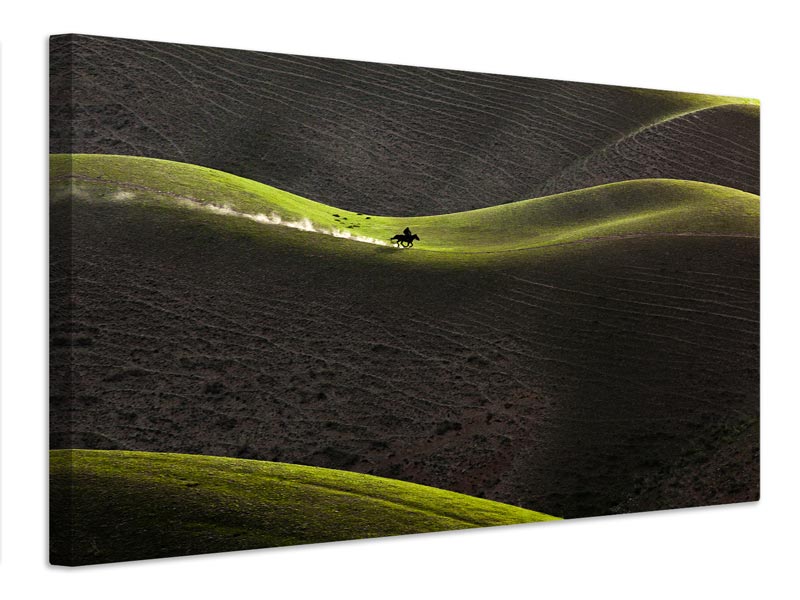 canvas-print-aaearea-x