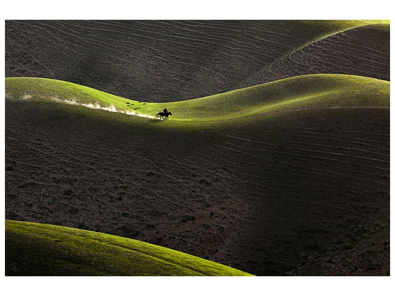 canvas-print-aaearea-x