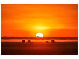 canvas-print-africa-impression-x