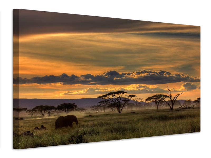 canvas-print-africa-x