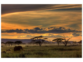 canvas-print-africa-x