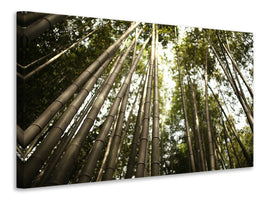 canvas-print-arashiyama-japan