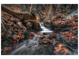 canvas-print-autumn-cascade-x