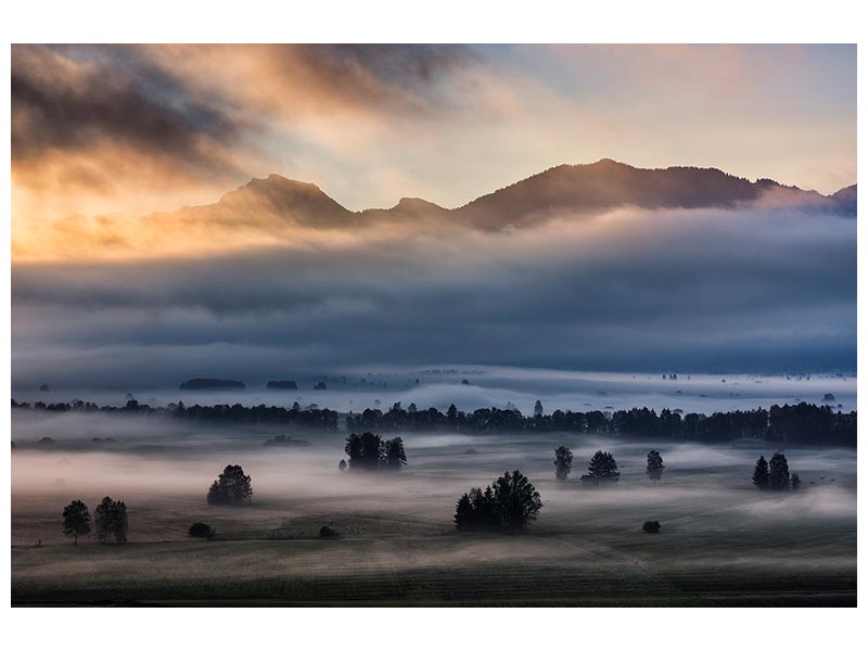 canvas-print-autumn-morning-x