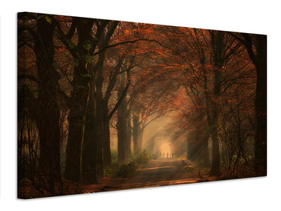 canvas-print-autumn-walk-x