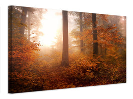 canvas-print-autumn-xpi