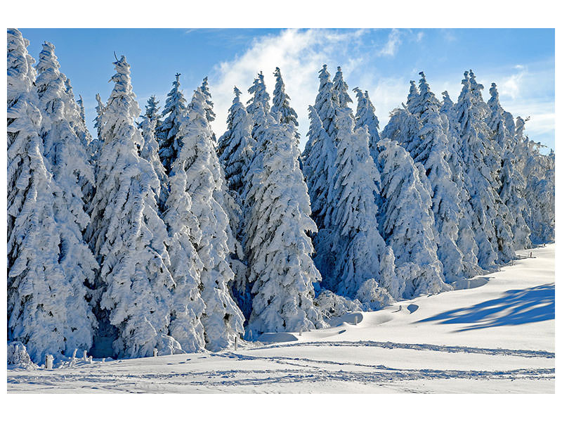 canvas-print-beautiful-winter-landscape