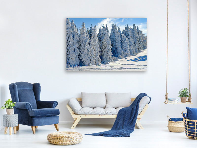 canvas-print-beautiful-winter-landscape