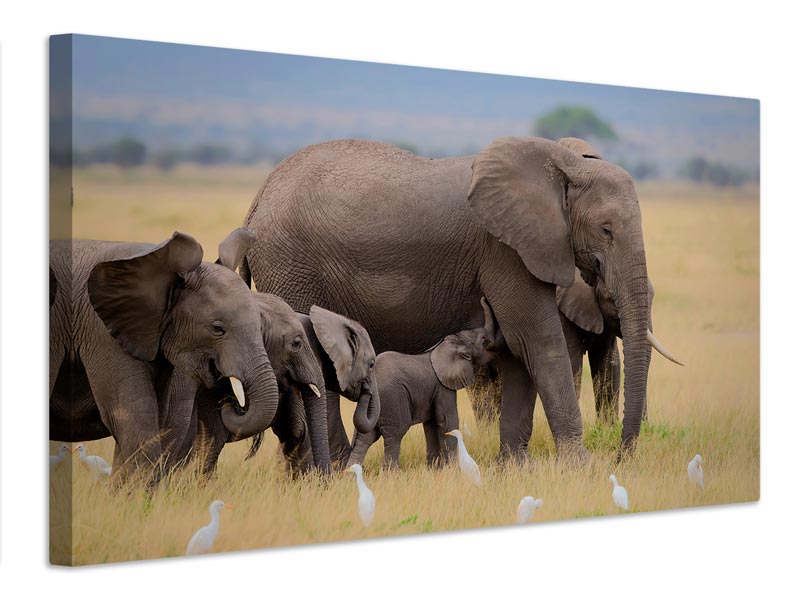 canvas-print-big-family-x