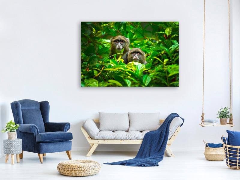 canvas-print-blue-monkey-x