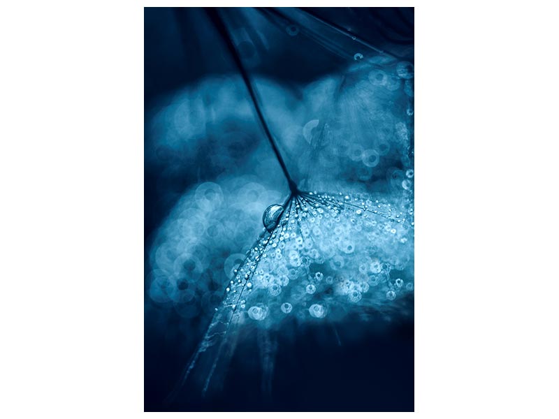 canvas-print-blue-x