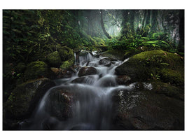 canvas-print-borneo-rainforest-x