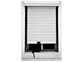 canvas-print-cat-x