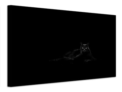 canvas-print-cat-xyp