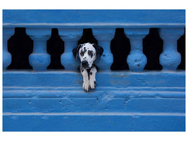 canvas-print-centro-habana-x