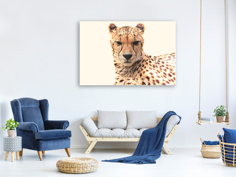 canvas-print-cheetah-in-the-sun