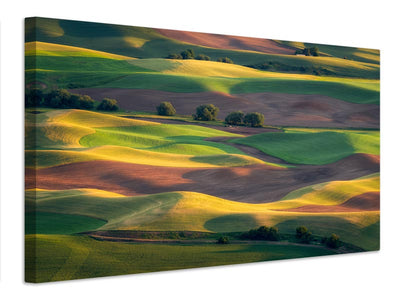 canvas-print-colorful-palouse-x