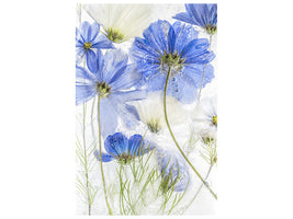 canvas-print-cosmos-blue