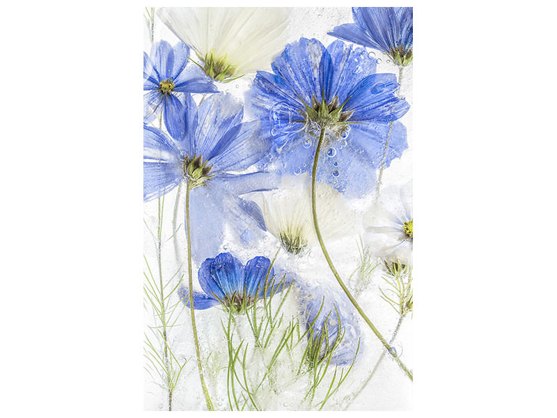 canvas-print-cosmos-blue