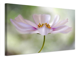 canvas-print-cosmos-cloud-x