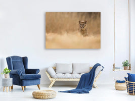 canvas-print-cougar-x