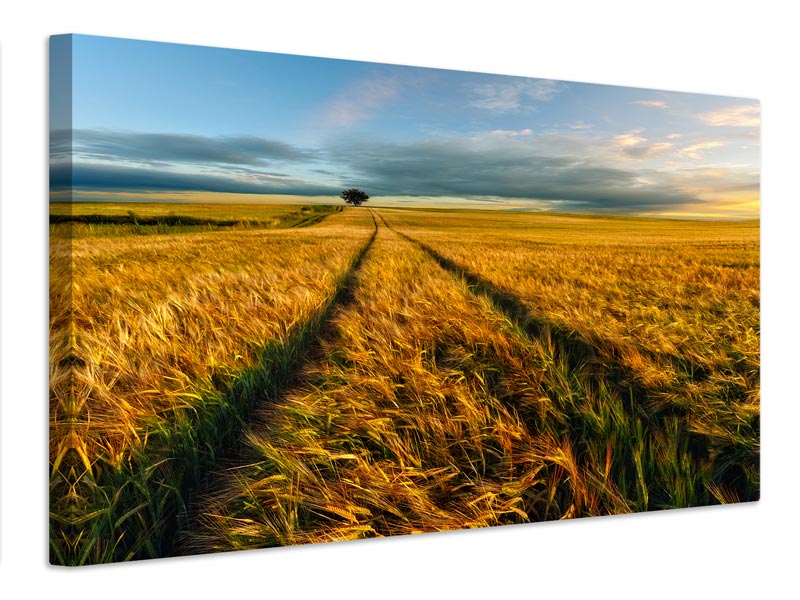 canvas-print-countryside-x