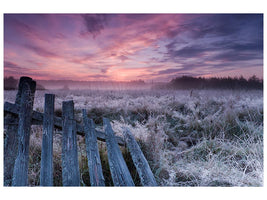 canvas-print-dawn-of-bialowieza-meadows-x