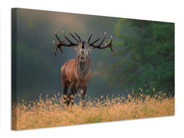 canvas-print-deer-wedding-song-x