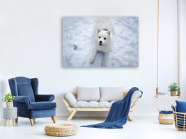 canvas-print-dogs-joy-in-the-snow