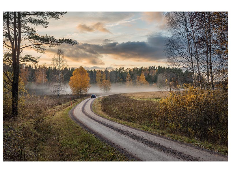 canvas-print-drive-in-autumn-colors-x