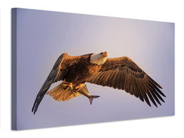 canvas-print-eagle-x