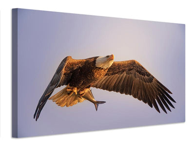 canvas-print-eagle-x