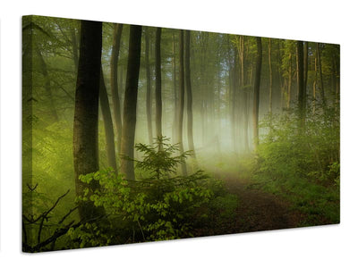 canvas-print-early-fall-x