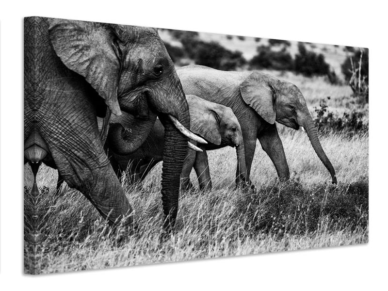 canvas-print-elephant-family-x