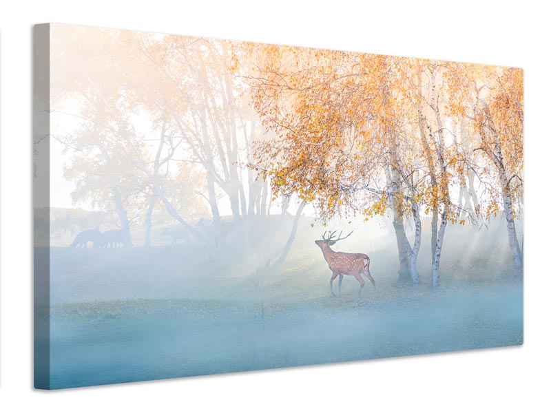 canvas-print-elk-lost-in-mist-x