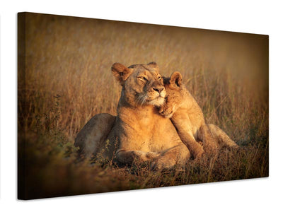 canvas-print-feline-family-x