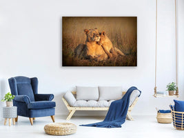 canvas-print-feline-family-x