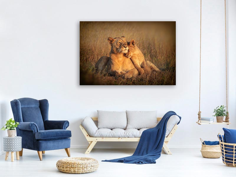 canvas-print-feline-family-x