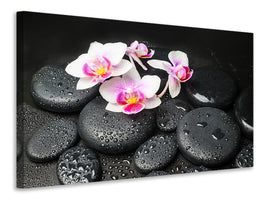 canvas-print-feng-shui-orchid-zen