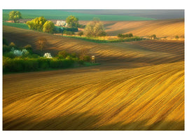 canvas-print-fields-xxg